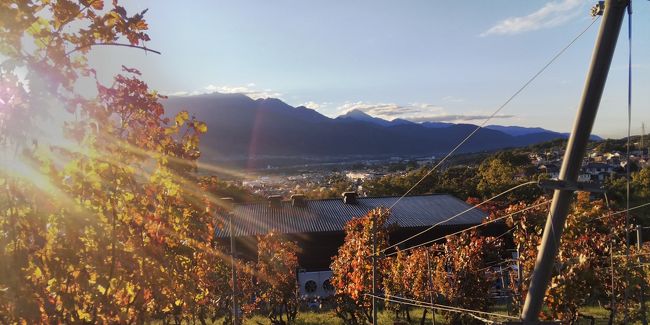 秋 八ヶ岳富士見台高原の山景と紅葉の眺望 小淵沢 山梨県 の旅行記 ブログ By Senqingさん フォートラベル