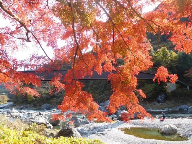 御岳 奥多摩２０１８紅葉 １ 御岳渓谷 青梅 東京 の旅行記 ブログ By アイガーさん フォートラベル