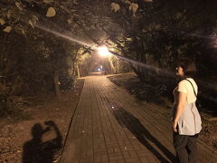 都市森林浴場の風景