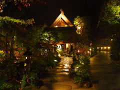 金曜日の夜、母の誕生日で高尾山の麓にある「うかい鳥山」へ。…といっても、数ヶ月前に誕生日は過ぎているんだけどね（笑）父が体調を崩していたので、落ち着くまで延期していたのだ。

実家からだと割と近いので、１、２年に一度はお邪魔しているが、何度食べても美味しいんだよなぁ( ´艸｀) 季節が変わると出てくるモノも違ってくるしね。たまには美味しいモノをいただくのもいいよねってことで。