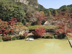 御船山楽園で紅葉狩りです。今日は晴天で暖かい日です。御船山を借景にした素敵な庭園です。