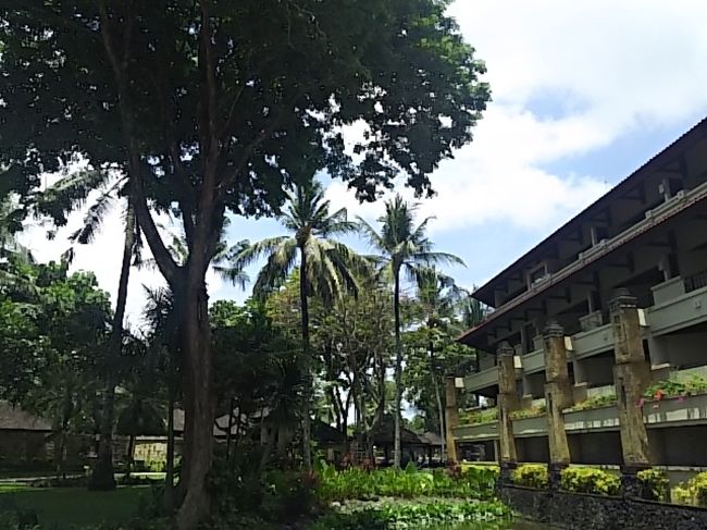 最終日が一番いいお天気でした。<br />チェックアウトの後スパでフェイスマッサージ受けて空港まで送っていただきました。<br />最初、タクシーかと聞かれクラブラウンジサービスだと説明。<br />部屋番号でわからないかなぁ。<br />