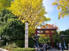 徒歩10分ほどで根津神社へ。七五三で結構賑わっていました。この神社は２回目だけど階段がないのでお気に入り神社です。