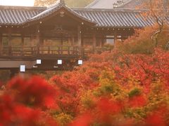 東福寺