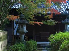 8：00　泉涌寺　来迎院（らいごういん）

大石内蔵助が討ち入り前に身を寄せていた寺の一つ。

こちらは色付き始め。
隣の善能寺（ぜんのうじ）さんも色付き始め。


境内拝観料　無料