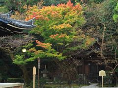 9：00　泉涌寺（せんにゅうじ）

皇室の菩提寺で別名「御寺」
境内は色付き始め。

伽藍拝観料　500円
駐車場　無料