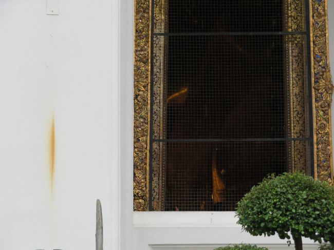 ちょっとした隙間から大仏さんの一部が顔をのぞかせてますね。