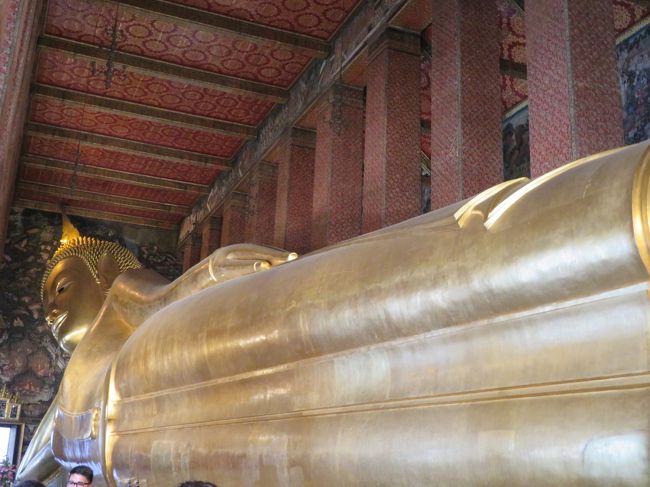 かなり奥まで行きましたが、これでも写真をおさめきれず。。。