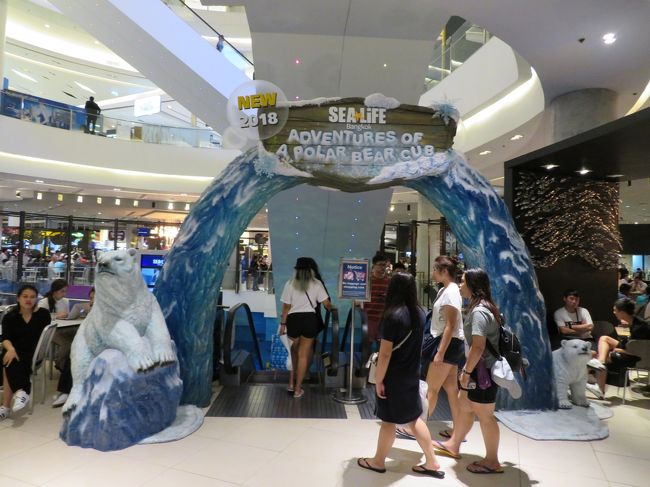 地下には水族館があるようなので覗いてみることに。