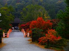 白水阿弥陀堂は国宝に指定されています。
白水はちなみに「平泉中尊寺」の、泉から白と水が付けられたとのことです。
中尊寺を模して平安末期に造られたとのことです。