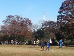 野津田公園