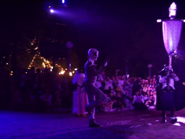 We Love Mickey！の後はすぐさまお城のステージ近くの通路で場所取りをしました。<br /><br />21時からのヴィランズ・ナイト・アウト・チャプター3を観ました♪<br /><br />まずはジャック