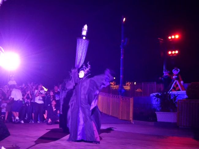 マレフィセント<br /><br />他にフロローもいました。