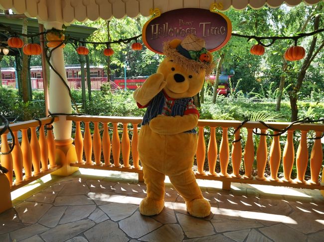 何だか、メロメロになっちゃいました>_<<br /><br />私、基本クマ好きでだからダフメイもプーさんにも心奪われるのですね～