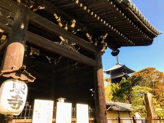 まずは
大阪からの来ると
迎えてくれる東寺。