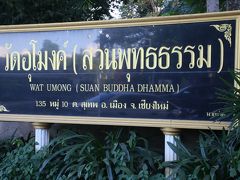 山を下りるともう夕方。帰り道にもう1箇所お寺をめぐります。奥まった所にあったのでスマホのマップが大活躍。