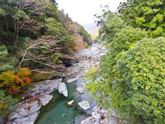 完全に食に対する感覚がマヒした状態で、日本三大秘境と呼ばれる祖谷峡に行ってみた。