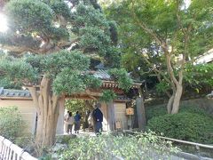 暫く歩くと見えてきたのは、報国寺です。
観光地ですが、こちらには寄らず、進みます。