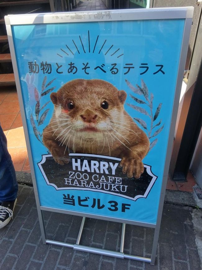 訪日観光目線で再発見 流行原宿散歩 原宿 東京 の旅行記 ブログ By オカンカンさん フォートラベル 訪日観光目線で再発見 流行原宿散歩 原宿 東京 の旅行記 ブログ By オカンカンさん フォートラベル