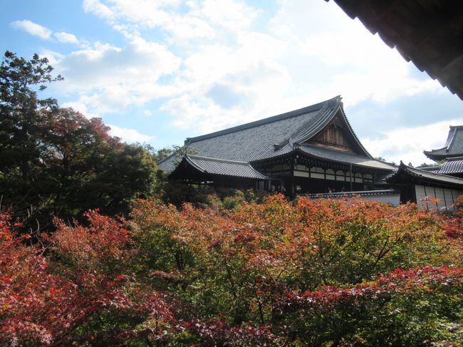 大本山 東福寺 紅葉18 東山 祇園 北白川 京都 の旅行記 ブログ By わんだふるさん フォートラベル 大本山 東福寺 紅葉18 東山 祇園 北白川 京都 の旅行記 ブログ By わんだふるさん フォートラベル