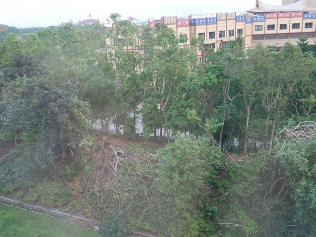 エクスプローラーズ・ロッジはお隣ですが、木と段差で遮られています。<br />そして木々が先月の台風でなぎ倒されていました。