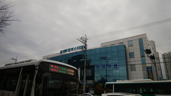 お昼頃には大邱に着きたいので、早いですが、市外バスターミナルへ。<br />バスターミナルまではバスで約25分。<br />観光地となっている港付近といわゆる街は場所が離れています。<br />統営には地下鉄がないのでバスかタクシー移動になります。<br />バスはヒアリングを鍛えるいい練習の機会です。<br />もちろん、乗るときには「〇〇行きますか？」と必ず確認します(笑)。<br />あ、そういえば、統営ではCashbeeカードは使えずT-moneyでした。<br />両方持って行って正解でした。<br />