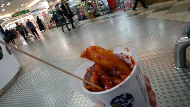 荷物が重くなったので、いったんホステルに行き、置いてからまた出掛けます。<br />半月堂地下商店街へ。<br />大邱イチ大きな地下商店街ですが、ソウルのGO TO Mallや富平に比べると小さいです。<br />ミシャやザ・セム、ホリカホリカなどのコスメショップをはじめ、ダイソーや服のお店、W10000バッグのお店もあります。<br />小腹が空いたのでタッカンジョンをつまみ食い。<br />タッカンジョンは鶏の唐揚げを甘辛いタレに混ぜた物で、トッポギも入ったものにしてみました。<br />タッカンジョンW3000(320円)。<br />トッポギがうんまい！<br />１回揚げてあるのかな？<br />次からはトッポギだけにします(笑)。<br />トッポギだけだとW2000だし。