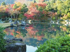 天龍寺の庭も雄大かつ繊細でした。何より、小倉山が背景というのがずる過ぎる。他ではかなわない景色です。早朝参拝7:30から。だから土曜日でも人が少なくて快適。土日も早朝はねらい目です。