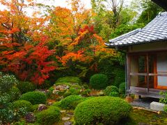 床紅葉の実相院へ。こちらは撮影禁止。まだ紅葉が赤くなりきってませんでした。