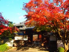 永観堂 (禅林寺)