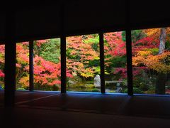 蓮華寺の額縁庭園。テレビコマーシャルで使われました。