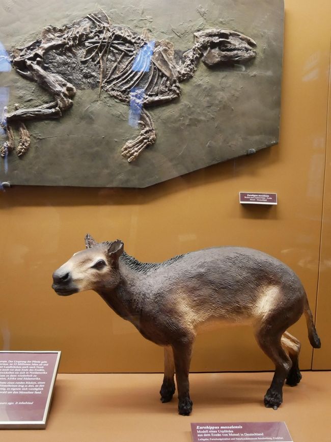 32歳 人生初の一人旅 オーストリア ウィーンへ 観光2日目 ウィーン オーストリア の旅行記 ブログ By ミニーちょんさん フォートラベル 32歳 人生初の一人旅 オーストリア ウィーンへ 観光2日目 ウィーン オーストリア の旅行記 ブログ By ミニーちょんさん フォートラベル