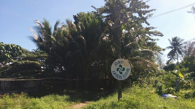 新しいリゾートで良くわからない。