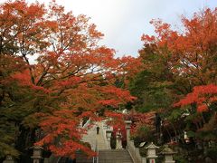 阿夫利神社下社の石段の下から