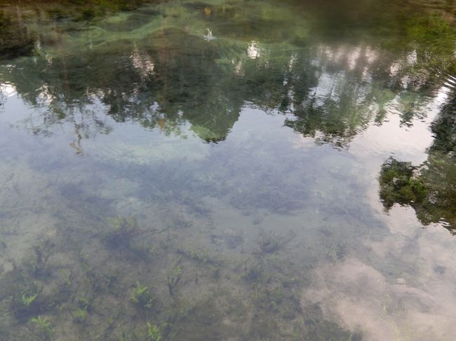 <br />　こんこんと水が湧いてます。<br /><br />　澄んでてとても綺麗。