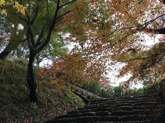 石の階段と紅葉。
