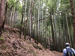 鎌刃城址　登山道　竹林