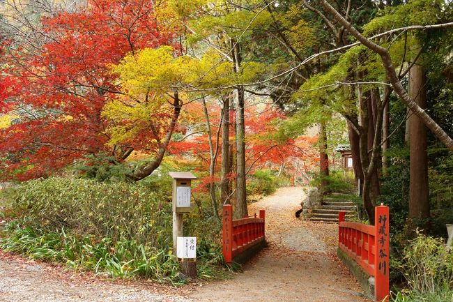 『亀岡・南丹・京丹波の昭和 』写真アルバム 樹林社 写真アルバム 亀岡・南丹・京丹波の昭和 | 樹林舎編集部, 飛鳥井