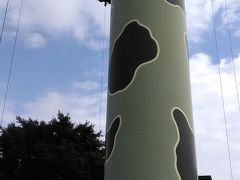 トイソルジャーパラシュートドロップ
舞い上がって落ちる系。待ち時間15分って書いてあったけど一人で並ぶと一人レーンは空いているので今やっている回が終わったら乗せてくれました。