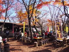 城山到着

高尾山の紅葉ではこの場所が一番だと思っていたのですが、こちらは台風の影響かちょっと残念な状態でした。