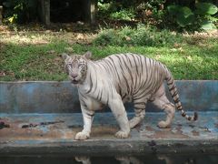 マレーシア国立動物園