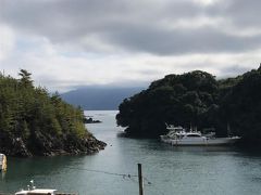 溶岩に囲まれた入江より桜島上陸！
右手側が大正の噴火により流れた溶岩
左手側が昭和の噴火により流れた溶岩
樹木の年齢が違う

魅力的な所が錦江湾には沢山ある
それを知ってもらいたくてクルージングを始めた船長さん