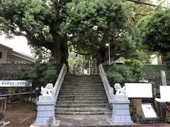 山王神社の被爆クスノキ、現在も治療中らしい
このクスノキ保存のため福山雅治が募金を呼びかけ寄付したという記事を後日見かけた