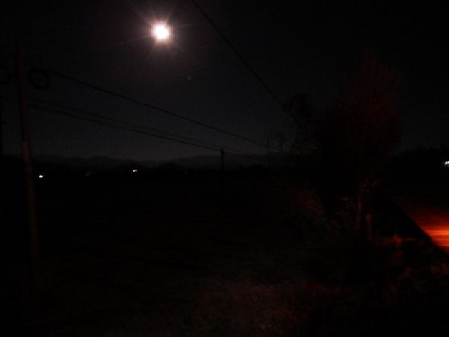 月明かりが眩しいぜ。