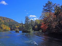 遊覧船は滝口を回り、チュウルイ島に向かいます。
滝口あたりの紅葉も素晴らしいです。