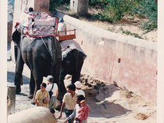 アグラ城は象に乗って登りました。
前を行くのは一緒に行った旅仲間。