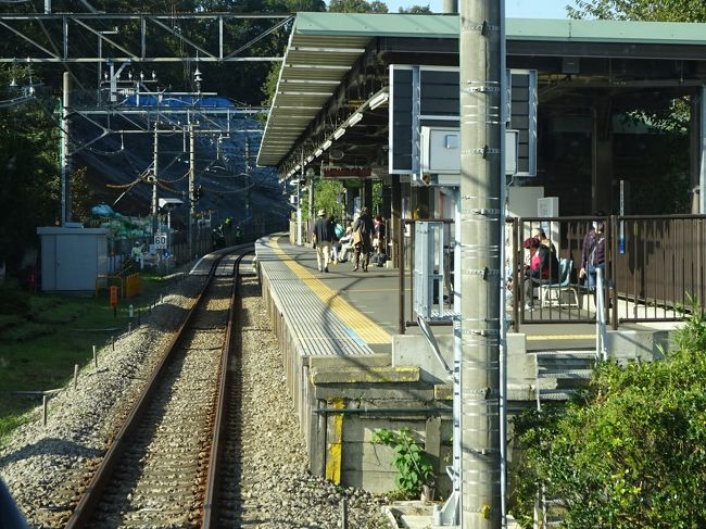 灯台もと暗し　地元多摩地区を徒歩と電車でブラブラ【その３】　徒歩を絡めて西武多摩湖線と山口線へ