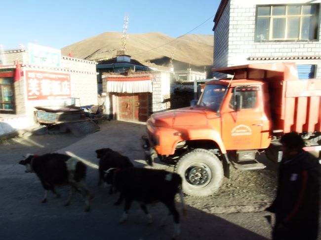 集落に入ると家畜が行く手を遮ることもしばしば。