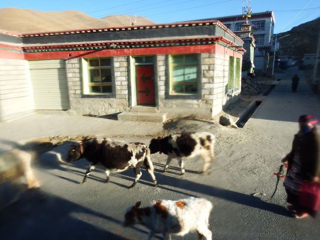 引き殺すなんてことはまぁない。確かに旅行中に獣畜の屍骸は見なかった。<br />事故で殺しちゃうと家畜の所有者とトラブルになることもあるし。