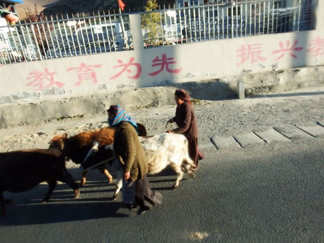 こうみると家畜は結構大事にされているんだなぁ。